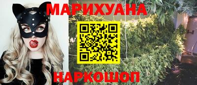 apvp Свободный