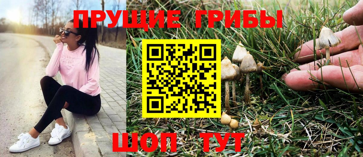 Галлюциногенные грибы MAGIC MUSHROOMS Белореченск